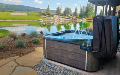 Davison Spas